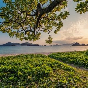 Meet your Posher, Bustamante